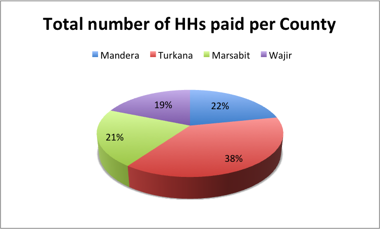 HSNP Group 1 households per County